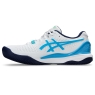 Pánská tenisová obuv Asics  Solution Speed FF 3 Clay 1041A375-103